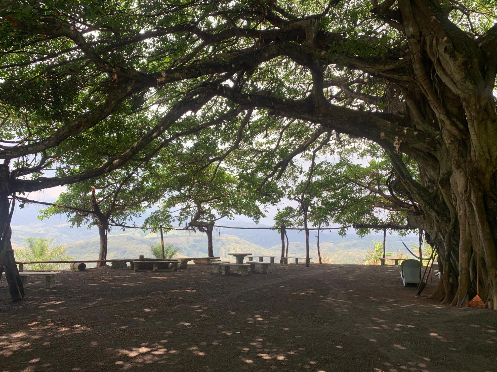 Ferienwohnung Disfruta Del Contacto Con La Naturaleza Puntarenas Exterior foto